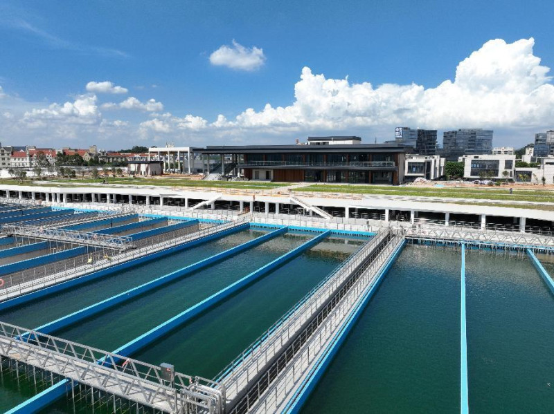 桃花视频
：三线并进勇担经济责任，以“水力量”深耕“百千万工程”   